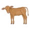 Cartoon Calf. Side View