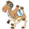 Cartoon camel animal