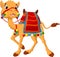 Cartoon camel with saddlery