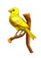Cartoon canary on the branch - isolated