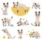 Cartoon cat characters collection. Different pets poses. Siamese colorpoint cats. Adorable domestic cats sleeping and