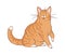 Cartoon cat. Cute funny lazy kitten, adorable home animal, red-headed domestic purebred pet, vector modern simple single