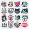 Cartoon cat heads vector illustration cute animal funny characters face domestic pet