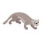 Cartoon cat otter on the hunt. Wildlife, exotic fauna, river dweller