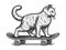 Cartoon cat riding skateboard sketch raster