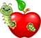 Cartoon caterpillars eat the red apple