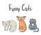 Cartoon cats. Funny card.