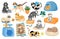 Cartoon cats playing with toys, relaxing and sleeping in bed. Hapy pet kitten characters in funny poses. Cute tabby cat