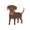 Cartoon character brown labrador dog happy