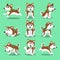 Cartoon character brown siberian husky dog poses