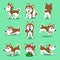 Cartoon character brown siberian husky dog poses