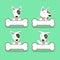 Cartoon character bull terrier dog with big bones