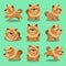 Cartoon character chow chow dog poses