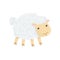 Cartoon character of cute domestic sheep with shiny eyes, little ears and fluffy wool. Concept of animal husbandry