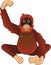 Cartoon character Kalimantan Borneo Female Adult Orangutan