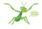 Cartoon character Mantis