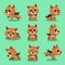 Cartoon character norwich terrier dog poses