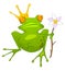 Cartoon Character Princess Frog