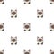 Cartoon character siamese cat seamless pattern background