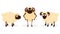 Cartoon character of three sheep.