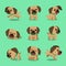 Cartoon character tibetan spaniel dog poses