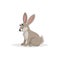 Cartoon cheerful sitting hare. Forest Europe and North America animal. Flat with simple gradients trendy design.