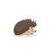 Cartoon cheerful standing hedgehog. Forest Europe and North America animal. Flat with simple gradients trendy design.