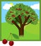 Cartoon cherry tree with ripe cherries and green foliage