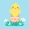 Cartoon chick with Easter eggs in the grass and Easter egg search activity with children