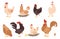 Cartoon chicken. Funny rooster and hen. Farm animal mascots with wings and feathers. Activities of domestic birds