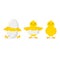 Cartoon Chicken Hatching Phases Set on a White. Vector