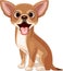 Cartoon chihuahua dog on white background