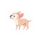 Cartoon Chihuahua purebred breed of furry dog, best pet, cute little light chihuahua dog vector illustration isolated