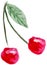 Cartoon child-like drawing of two cherry fruits with a leaf