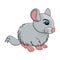 Cartoon chinchilla rodent isolated on white background