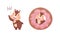 Cartoon Chipmunk Greeting and Peeping Out from Doughnut Vector Set