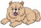 Cartoon chow chow puppy purebred dog