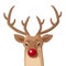 Cartoon Christmas illustration. Funny Rudolph red nose reindeer isolated on white. Vector.