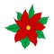Cartoon christmas star, red flower Poinsettia. Vector illustration isolated on white