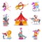 Cartoon circus animals. Trained seal and horse. Bear on unicycle. Tiger jumping over ring. Show artists in costumes