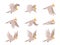 Cartoon cockatoo parrot fly animation frames sequence. Animated sprites loop of tropical bird flying in sky. Parrot wing