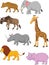 Cartoon Collection animal africa