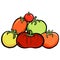 A Cartoon Collection of Different Tomato Breeds Vector Illustration