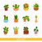 Cartoon collection of the houseplants. Vector set of colorful cards for the learning of plant species