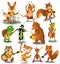 Cartoon collection of wild animals playing instruments