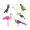 Cartoon Color Exotic Bird Icon Set. Vector