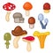 Cartoon Color Forest Mushrooms Icons Set. Vector