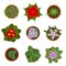 Cartoon Color Home Plant Top View Icon Set. Vector