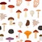 Cartoon Color Poisonous and Edible Mushrooms Seamless Pattern Background. Vector