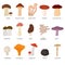 Cartoon Color Poisonous and Edible Mushrooms Set. Vector